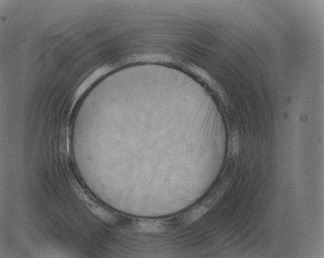 X0000081491274200702100021