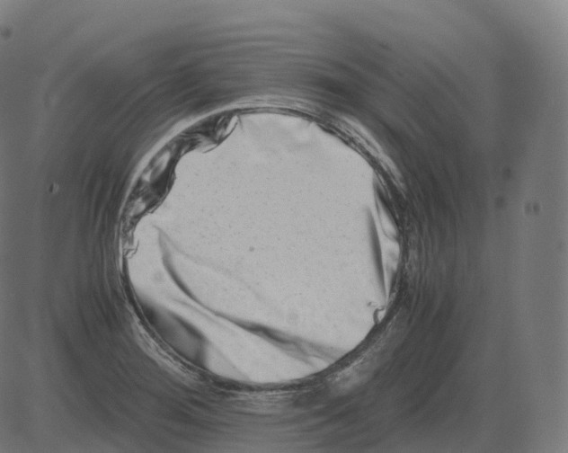 X0000081491276200702100021