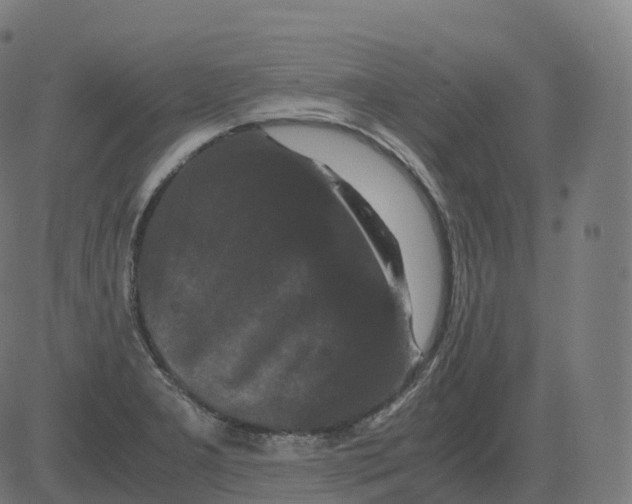 X0000081491277200702100021