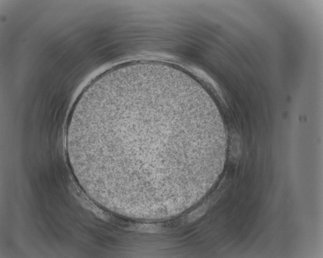 X0000081491280200702100021