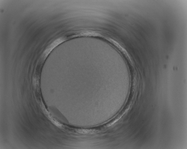 X0000081491281200702100021