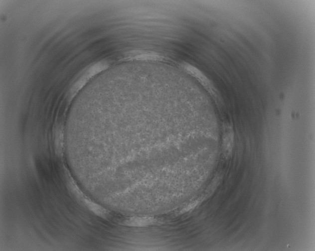 X0000081491282200702100021