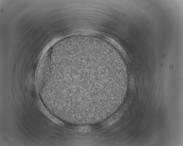 X0000081491283200702100021