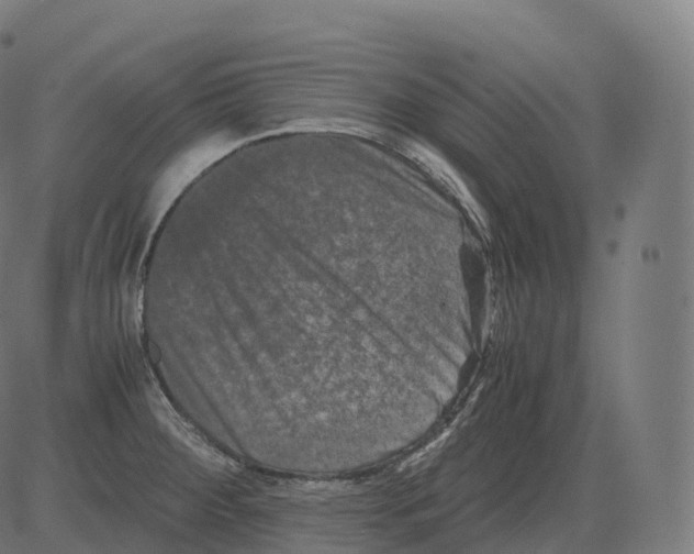 X0000081491284200702100021