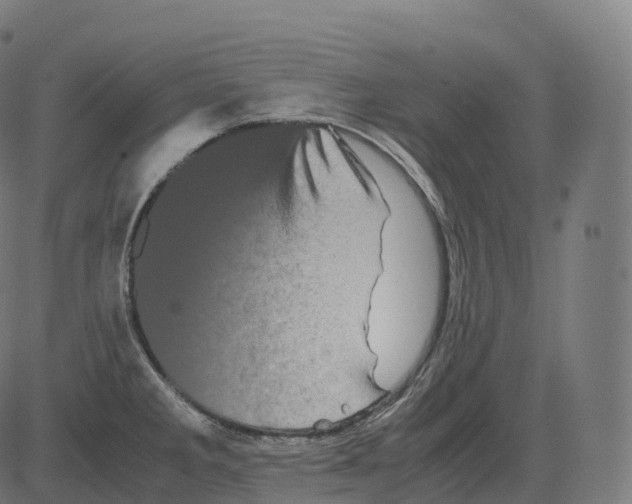 X0000081491285200702100021