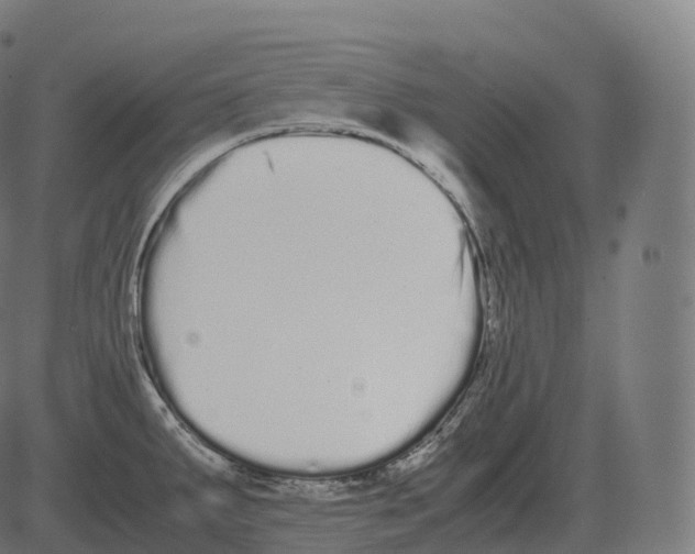 X0000081491287200702100021