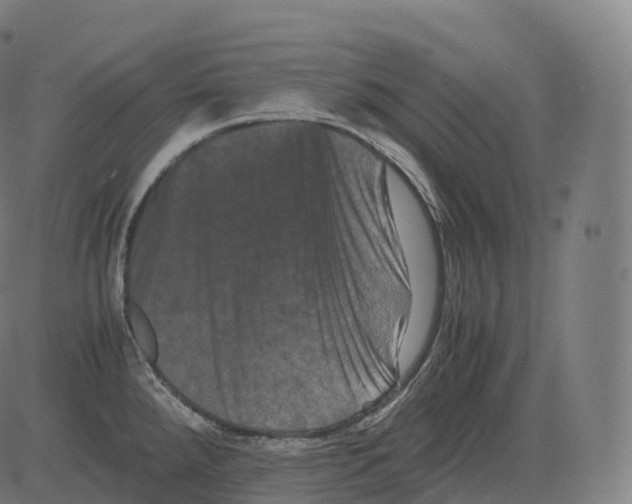 X0000081491288200702100021