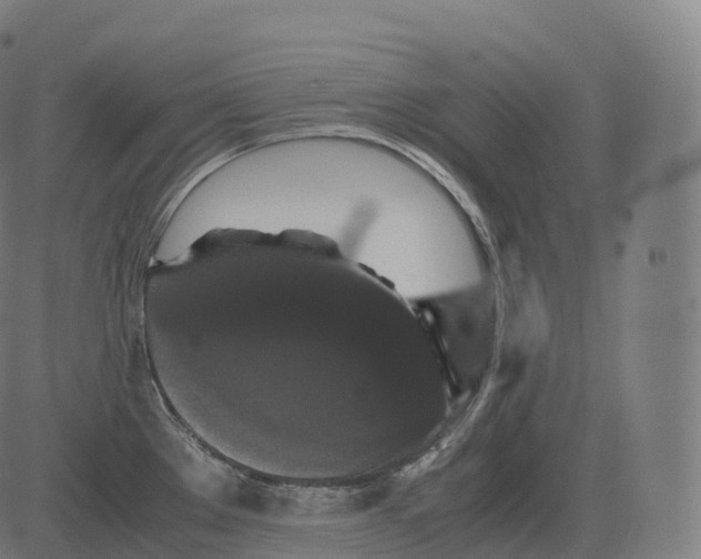 X0000081491289200702100021