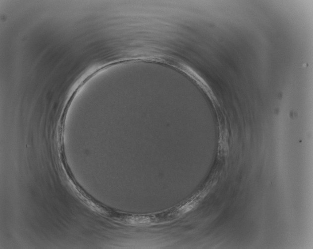 X0000081491291200702100021