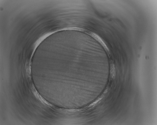 X0000081491292200702100021