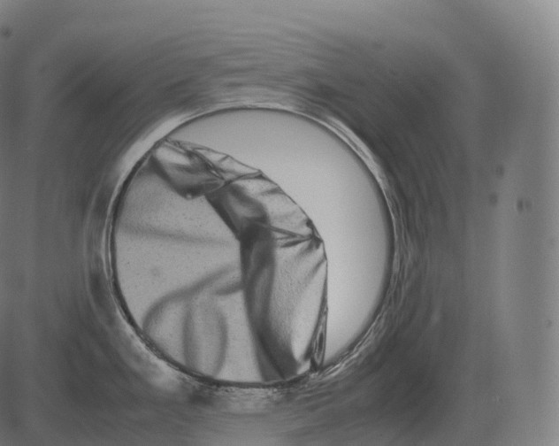 X0000081491293200702100021