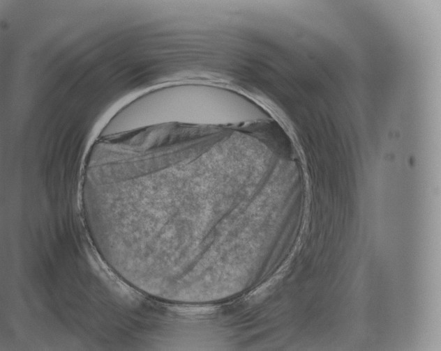 X0000081491296200702100020