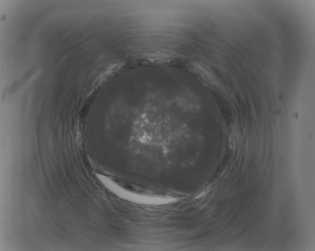 X0000081491298200702100020