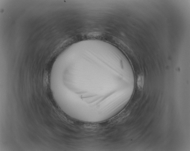 X0000081491299200702100020