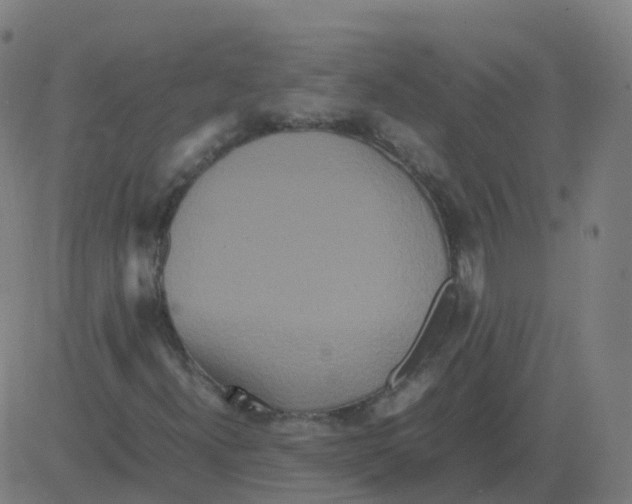 X0000081491300200702100020