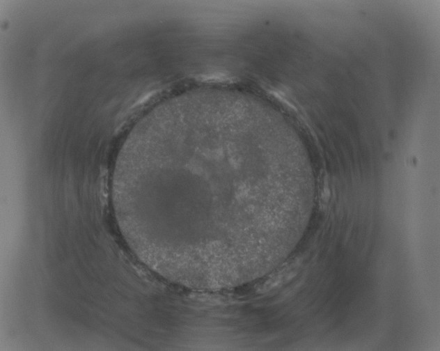 X0000081491301200702100020