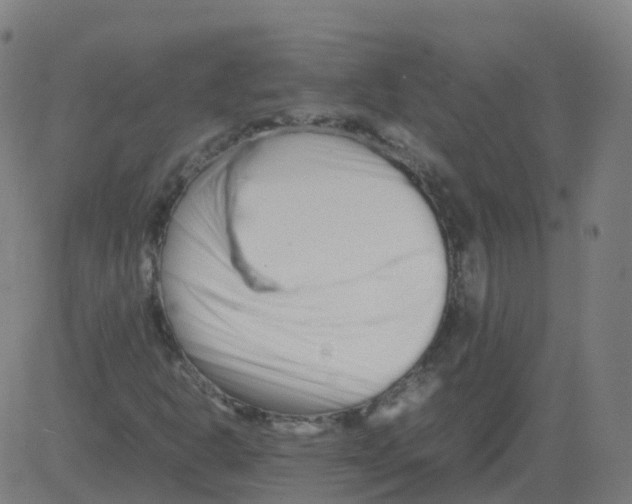 X0000081491302200702100020