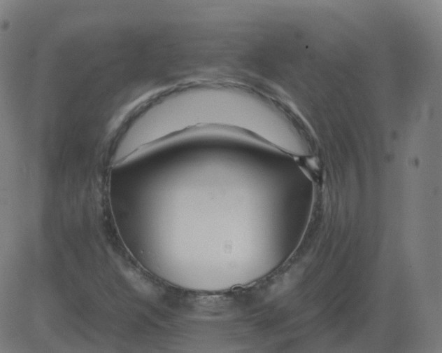 X0000081491304200702100020