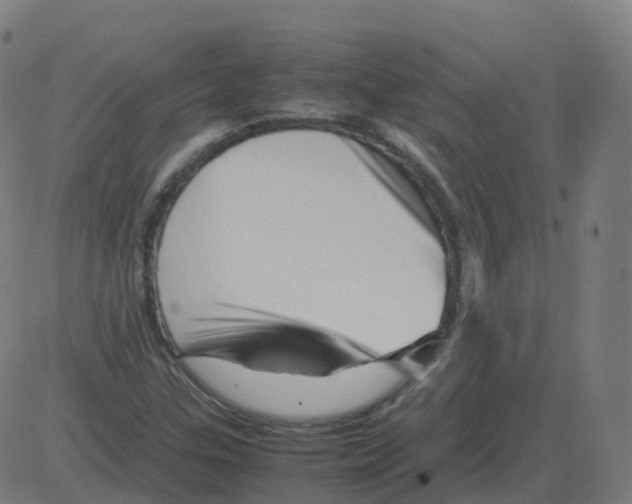 X0000081491307200702100020