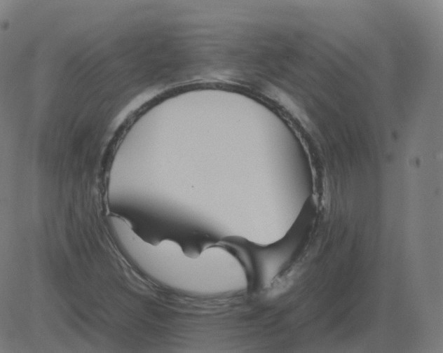 X0000081491308200702100020