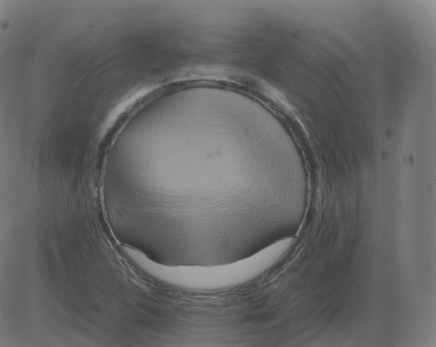 X0000081491312200702100020