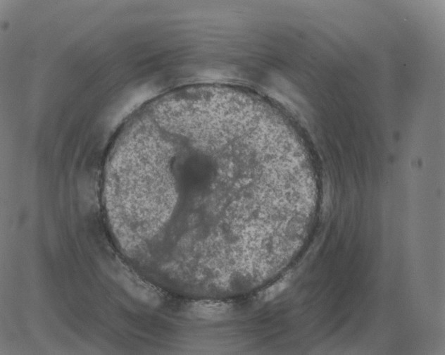 X0000081491314200702100020