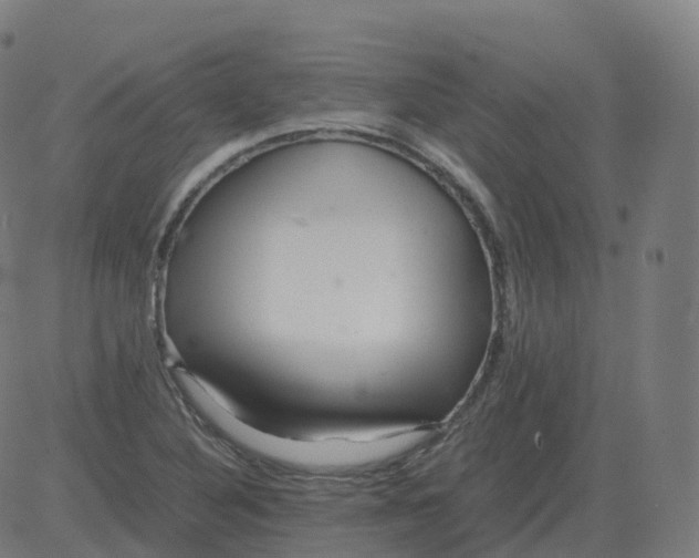 X0000081491316200702100020