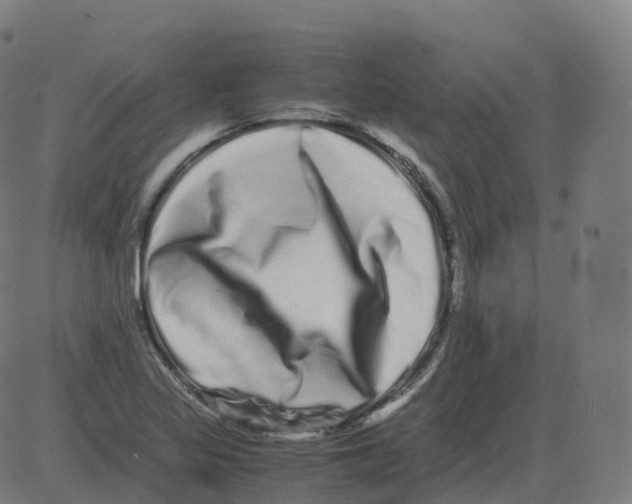 X0000081491317200702100020