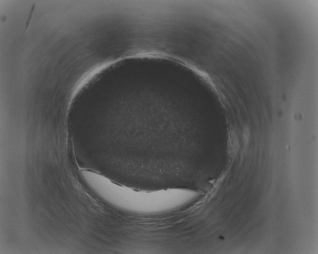 X0000081491319200702100020