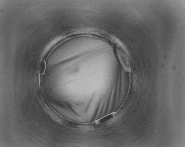 X0000081491320200702100020