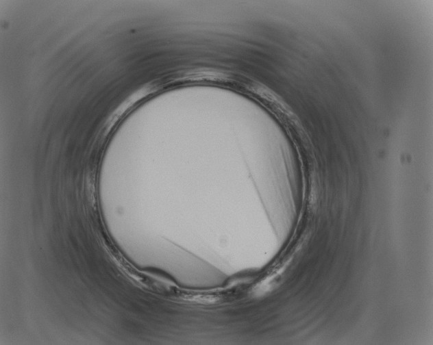 X0000081491321200702100020