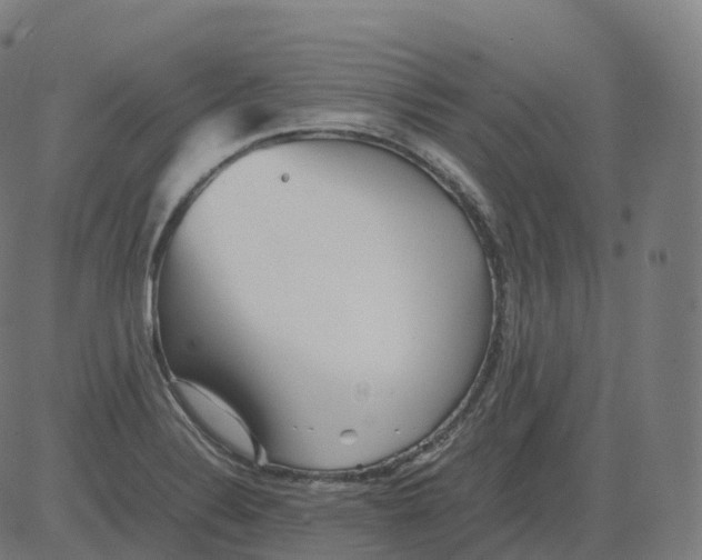 X0000081491324200702100020