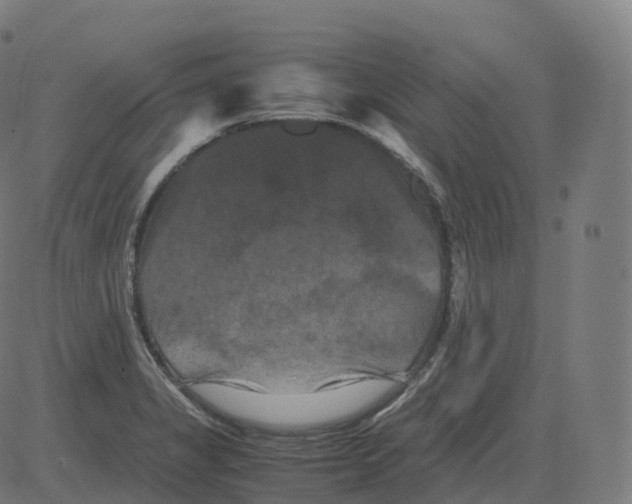 X0000081491325200702100020