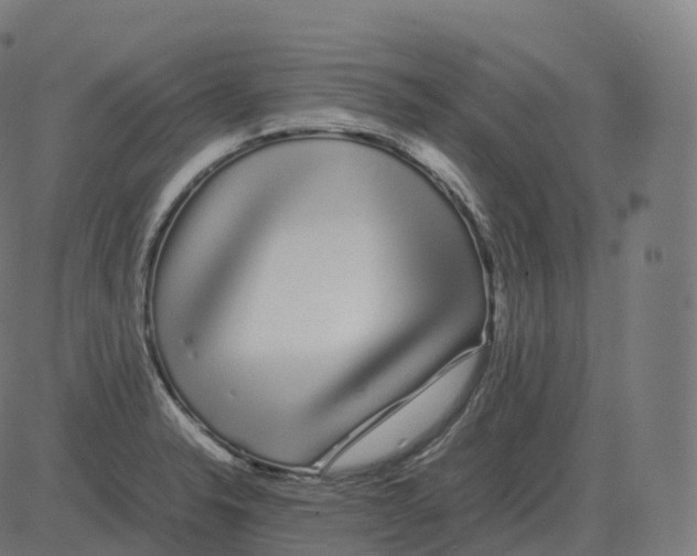 X0000081491326200702100020