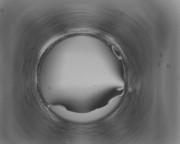 X0000081491328200702100020