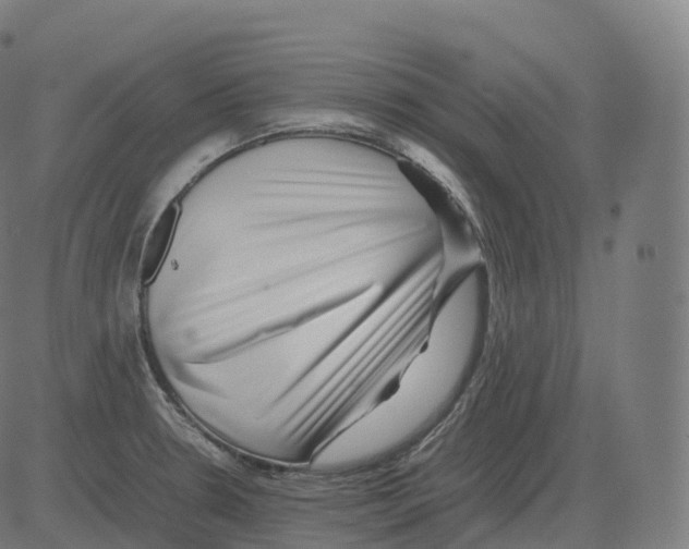 X0000081491330200702100020