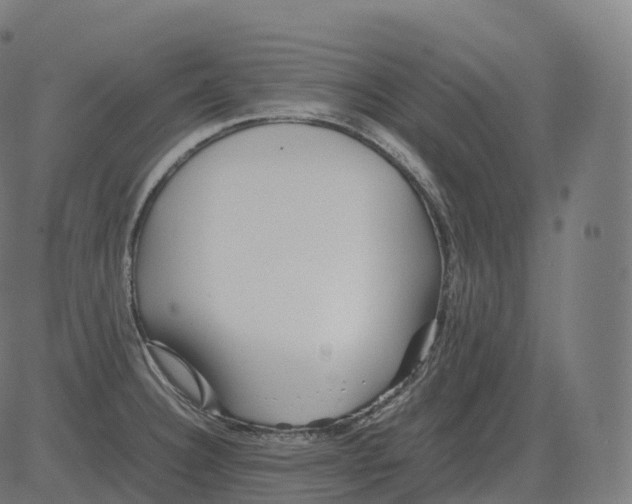 X0000081491332200702100020