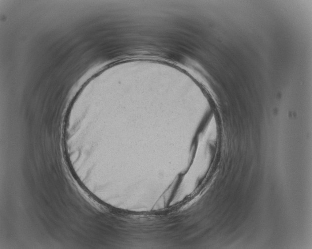 X0000081491333200702100020