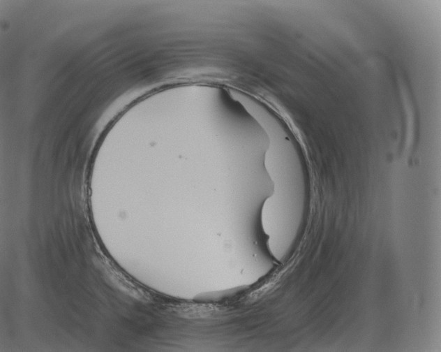 X0000081491336200702100020