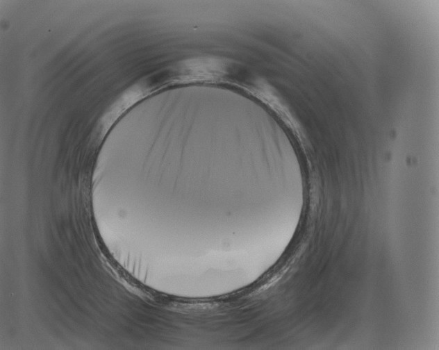 X0000081491337200702100020