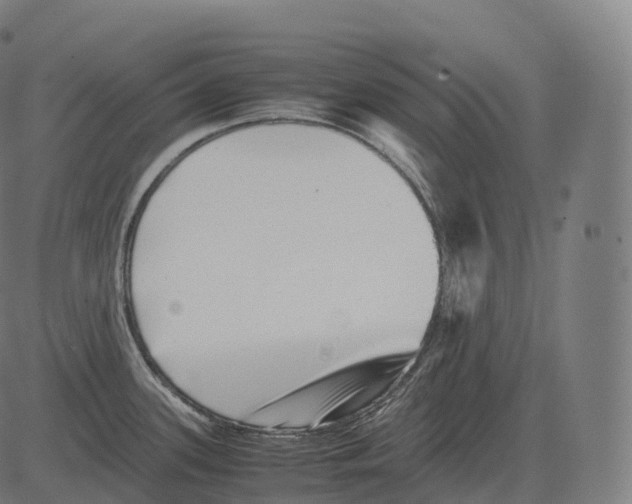 X0000081491339200702100020