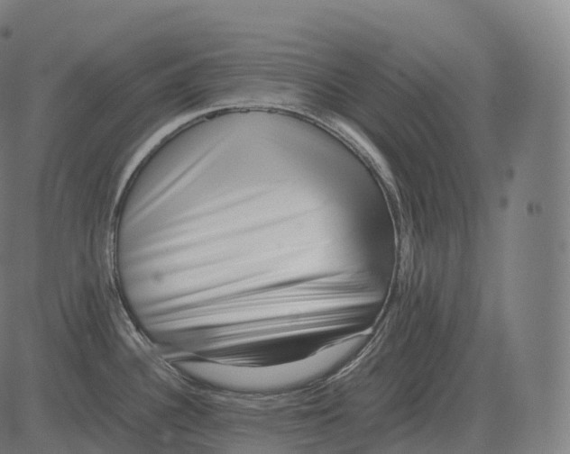 X0000081491340200702100020