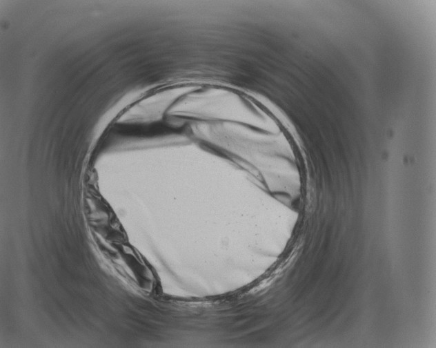 X0000081491341200702100020