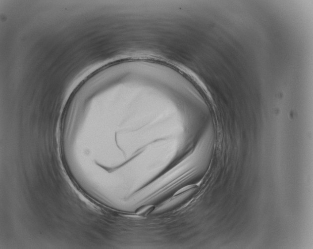 X0000081491343200702100020