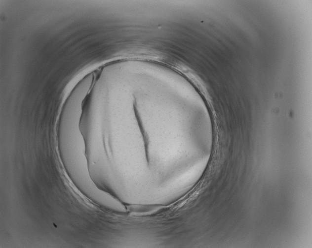 X0000081491344200702100020