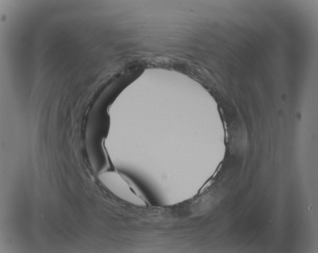 X0000081491345200702100020