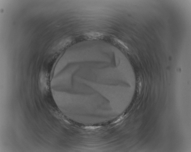 X0000081491346200702100020