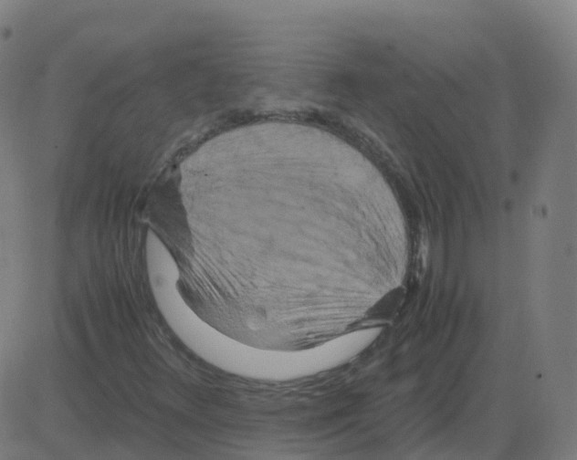 X0000081491348200702100020