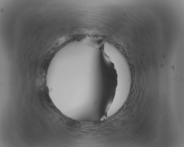 X0000081491349200702100020