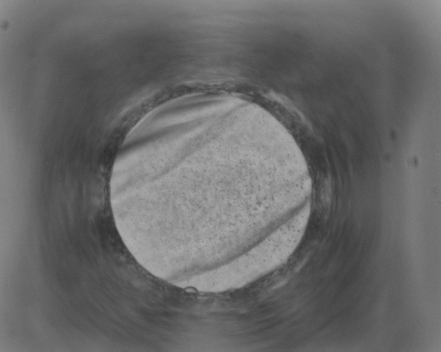 X0000081491350200702100020